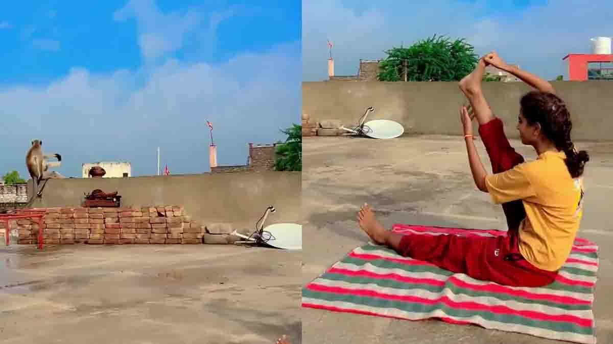 Viral Video : ವೈರಲ್ ವಿಡಿಯೋ: ಈ ಕೋತಿ ಸಾಮಾನ್ಯದ್ದಲ್ಲ, ಯೋಗ ಗುರುಗಳಿಗೇ ಸ್ಪರ್ಧೆ ನೀಡುವಂತಿದೆ..! 2 Funny Monkey Doing Yoga with Girl – Viral Video on Social Media
