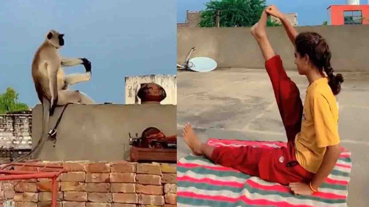 Viral Video : ವೈರಲ್ ವಿಡಿಯೋ: ಈ ಕೋತಿ ಸಾಮಾನ್ಯದ್ದಲ್ಲ, ಯೋಗ ಗುರುಗಳಿಗೇ ಸ್ಪರ್ಧೆ ನೀಡುವಂತಿದೆ..! 1 Funny Monkey Doing Yoga with Girl – Viral Video on Social Media