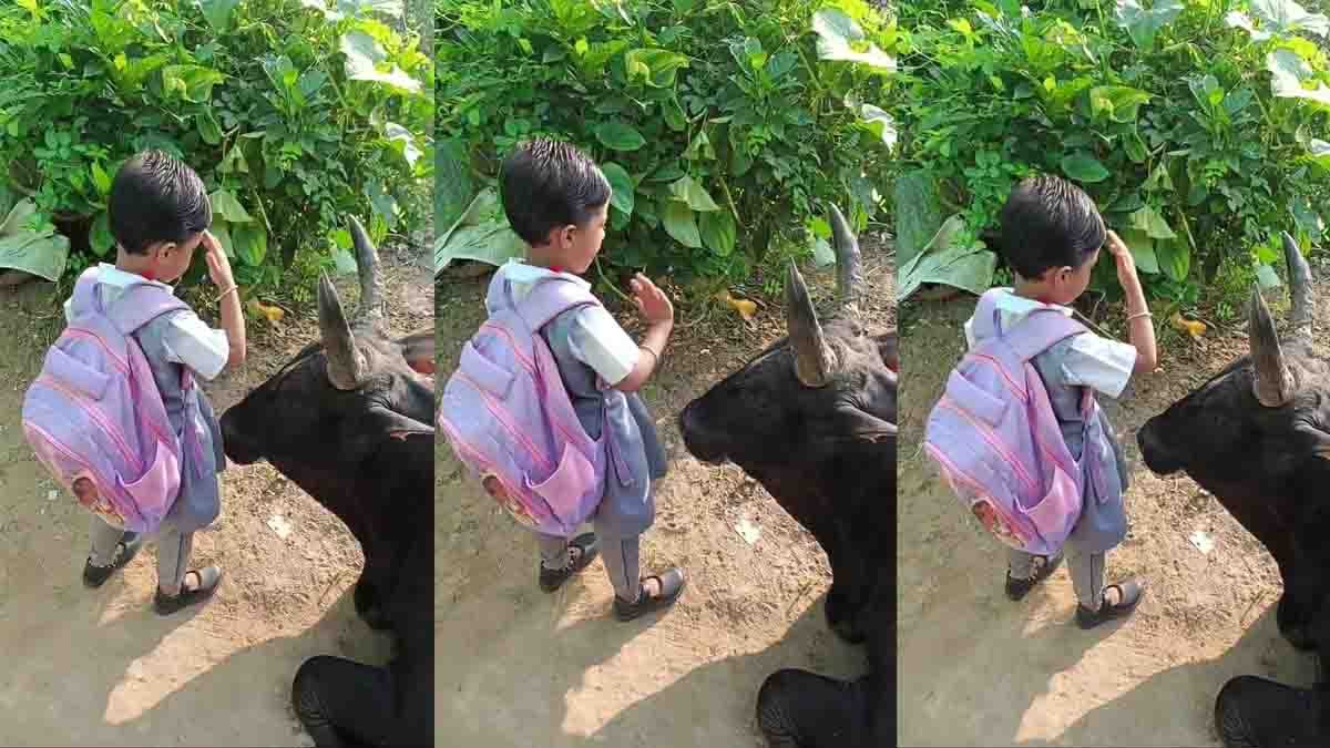 Video : ಶಾಲಾ ಹೋಗುವ ಮುನ್ನ ಗೋಮಾತೆಯ ಪಾದ ಸ್ಪರ್ಶ ಮಾಡಿದ ಪುಟ್ಟ ಕಂದಮ್ಮ! ಹೃದಯ ಕಲಕಿದ 'ವೈರಲ್' ವಿಡಿಯೋ! 2 A schoolgirl lovingly touches a cow’s feet to seek blessings before leaving for school — a touching reminder of Indian tradition and innocence - Video