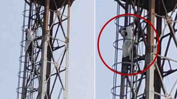 Indian teenage girl sitting on top of a mobile tower in Mirzapur after argument with her mother over Diwali cleaning, police and locals gathered below — viral video news scene