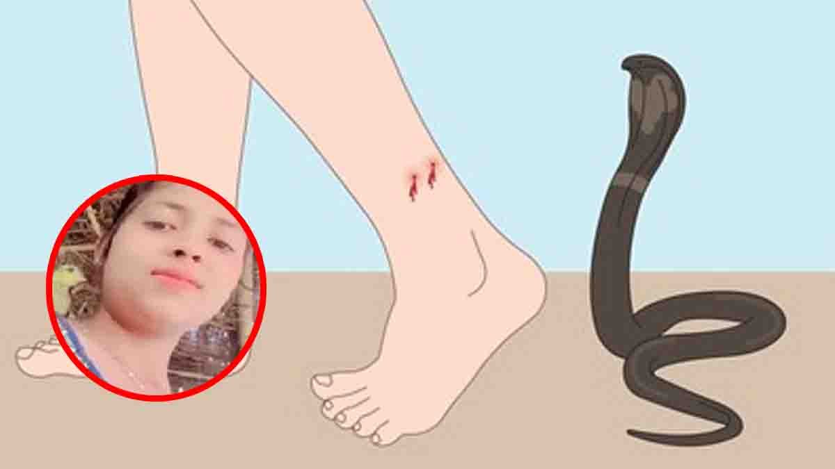 Snake Bite : ಮೂರು ತುಂಡಾದರೂ ಯುವತಿಯನ್ನು ಕಚ್ಚಿದ ಹಾವು, ಮಧ್ಯಪ್ರದೇಶದಲ್ಲಿ ನಡೆದ ದುರಂತ ಘಟನೆ..! 2 Snake Bite Tragedy in Madhya Pradesh – Severed Snake Head Bites Young Woman