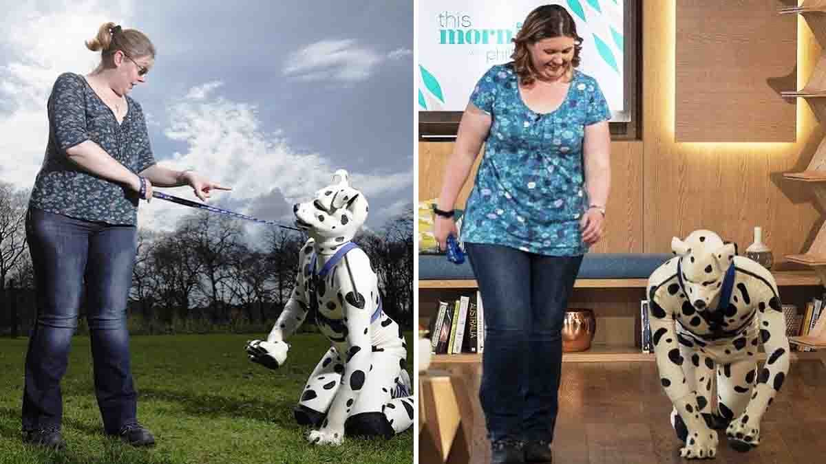 Man Dresses as Wife’s Deceased Dog to Console Her – Viral Love Story