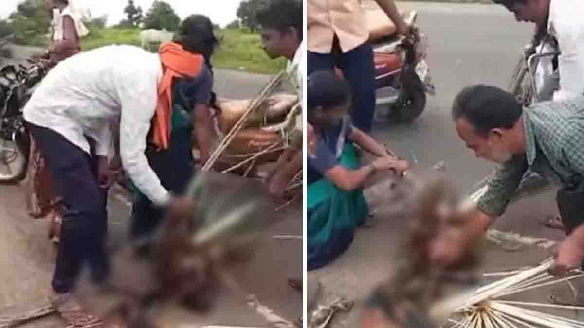 Viral Video : ರಸ್ತೆ ಅಪಘಾತದಲ್ಲಿ ಗಾಯಗೊಂಡ ನವಿಲು, ನವಿಲು ಗರಿಗಳಿಗಾಗಿ ಮುಗಿಬಿದ್ದ ಜನರ ಕ್ರೌರ್ಯದ ವಿಡಿಯೋ ವೈರಲ್..! 1 Injured national bird peacock lying on road after accident while locals cruelly pluck its feathers, viral video sparks outrage