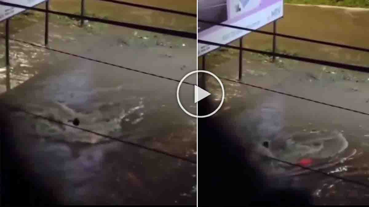 Brazil Flood : ನೀರಲ್ಲಿ ಕೊಚ್ಚಿಹೋದ ಕಾರು ಚಾಲಕ - ಶತಪ್ರಯತ್ನದ ನಂತರ ಪವಾಡ ಸದೃಶ ರಕ್ಷಣೆ…! 2 Car driver swept away in Brazil flash flood and miraculously rescued in Vitória da Conquista during heavy rainfall