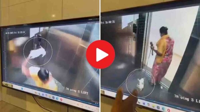 CCTV footage shows Bengaluru maid brutally killing a puppy inside apartment lift