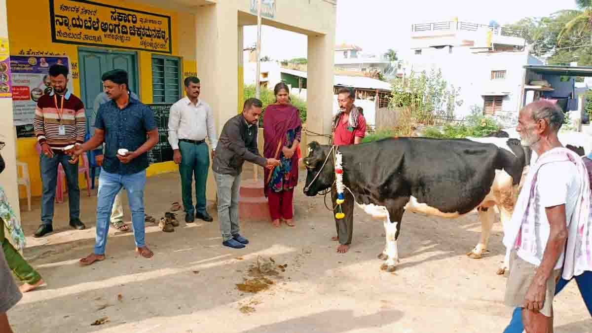 Local News : ಜಾನುವಾರುಗಳಿಗೆ ಕಡ್ಡಾಯವಾಗಿ ಕಾಲುಬಾಯಿ ಲಸಿಕೆ ಹಾಕಿಸಿ : ಡಾ. ಸುಬ್ರಮಣಿ 2 Veterinary doctor administering Foot-and-Mouth Disease vaccine to cattle in Gudibande village under livestock health campaign - Local News