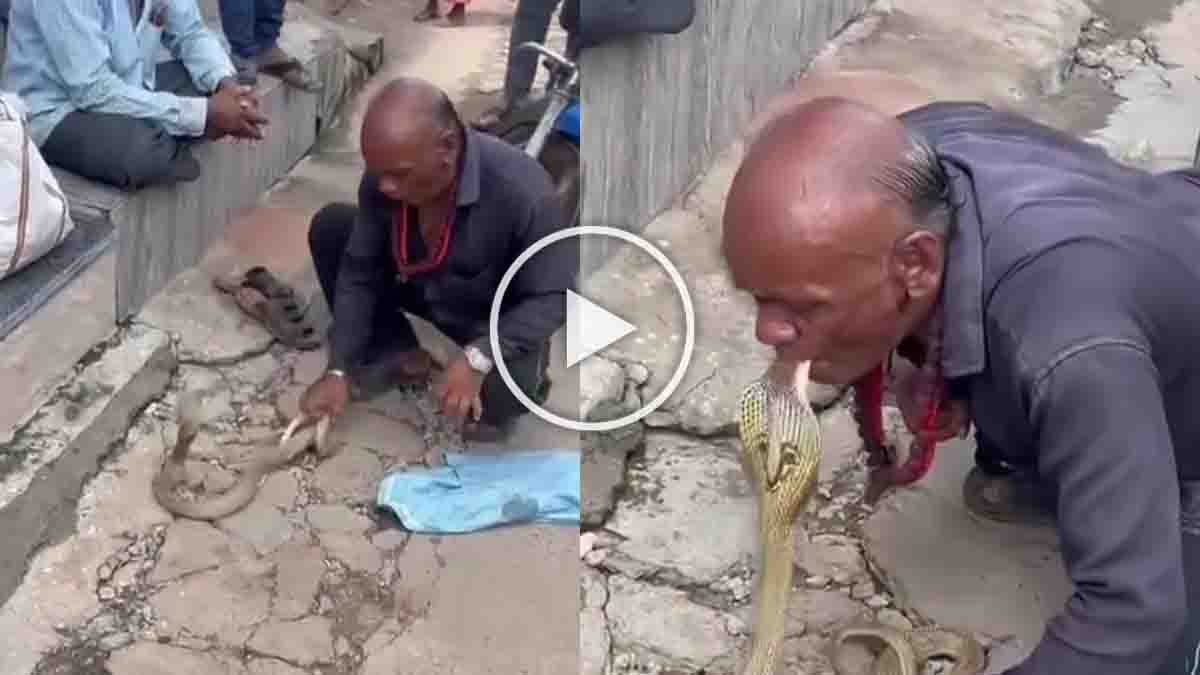 Man performing dangerous stunt kissing a cobra and putting snake in mouth – viral shocking video