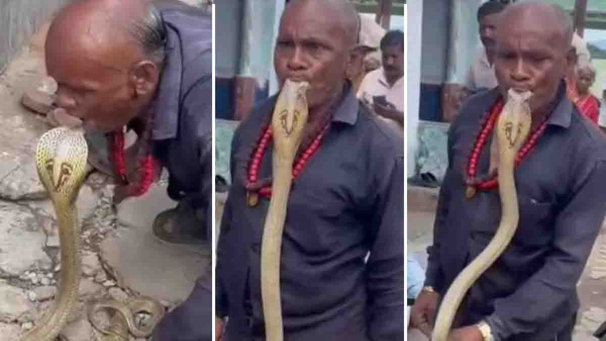 Man performing dangerous stunt kissing a cobra and putting snake in mouth – viral shocking video