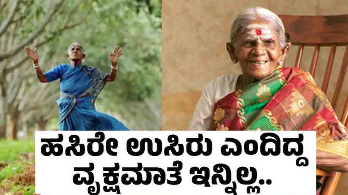 Saalumarada thimmakka no more 2