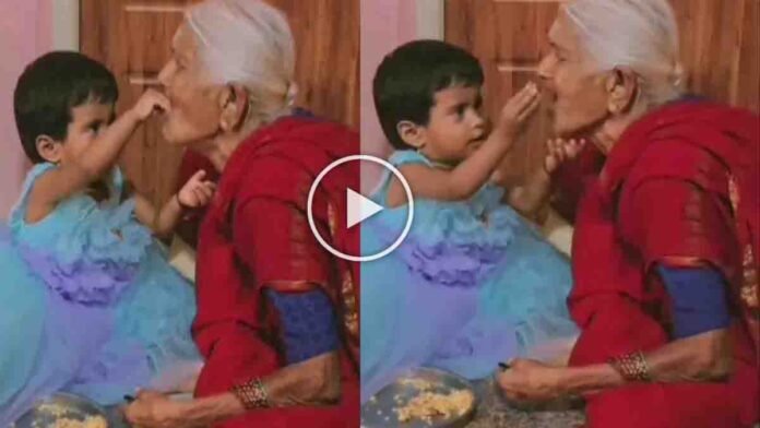 Grandmother smiling while her little granddaughter feeds her lovingly - Viral Video