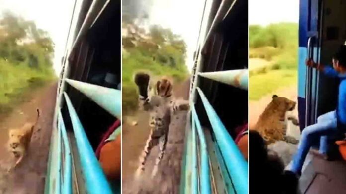 A viral video claiming a leopard jumped onto a moving train was later confirmed to be AI-generated and fake