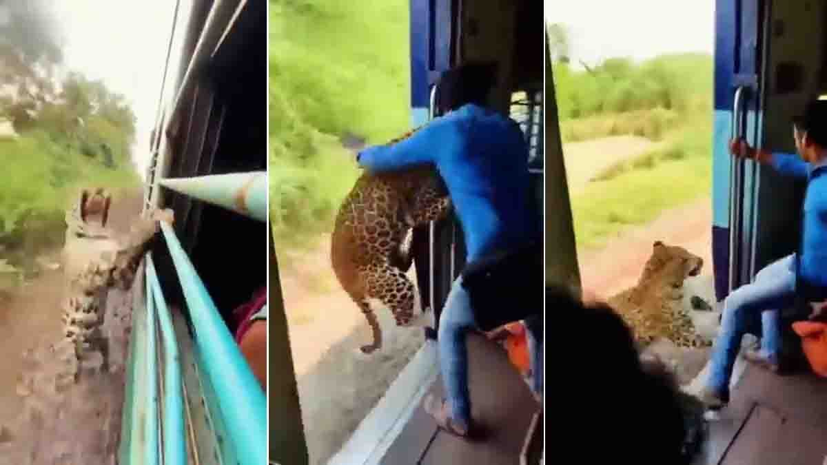 A viral video claiming a leopard jumped onto a moving train was later confirmed to be AI-generated and fake