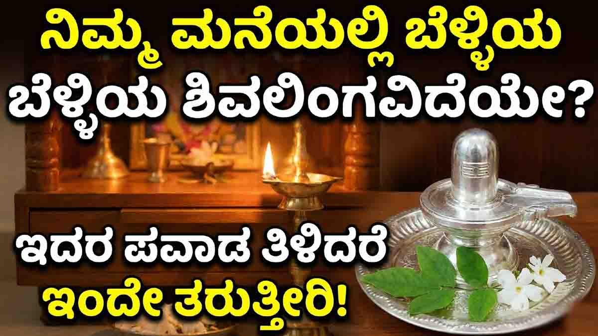 Worshipping Lord Shiva through a silver Shivling is believed to bring peace, prosperity, and positive energy into the home.