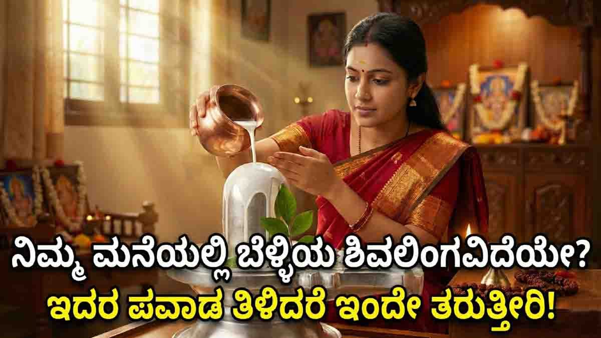 Worshipping Lord Shiva through a silver Shivling is believed to bring peace, prosperity, and positive energy into the home.