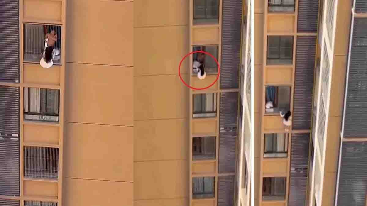 Woman Hanging From 10th Floor Balcony in China – Viral Escape After Lover’s Wife Arrives