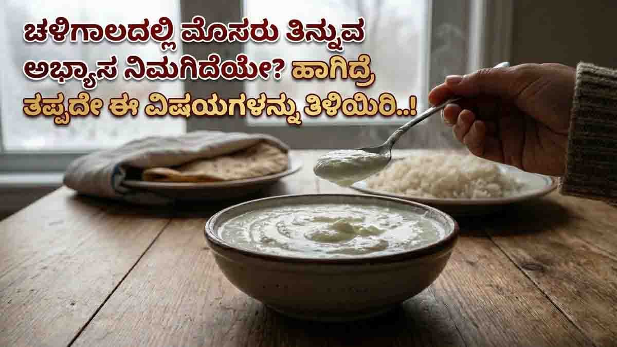 ಚಳಿಗಾಲದಲ್ಲಿ (Winter) ಮೊಸರು ತಿನ್ನುವ ಅಭ್ಯಾಸ ನಿಮಗಿದೆಯೇ? ಹಾಗಿದ್ರೆ ತಪ್ಪದೇ ಈ ವಿಷಯಗಳನ್ನು ತಿಳಿಯಿರಿ..! 1 Curd in winter health benefits explained – best time to eat curd according to Ayurveda, immunity and digestion support