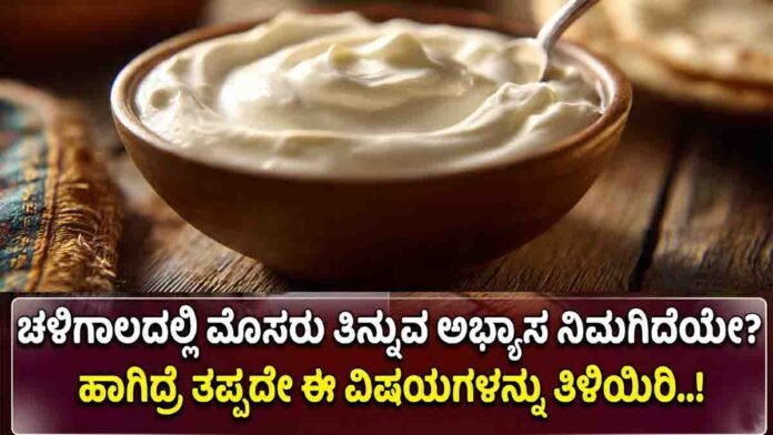 Curd in winter health benefits explained – best time to eat curd according to Ayurveda, immunity and digestion support