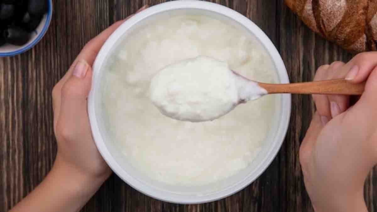 ಚಳಿಗಾಲದಲ್ಲಿ (Winter) ಮೊಸರು ತಿನ್ನುವ ಅಭ್ಯಾಸ ನಿಮಗಿದೆಯೇ? ಹಾಗಿದ್ರೆ ತಪ್ಪದೇ ಈ ವಿಷಯಗಳನ್ನು ತಿಳಿಯಿರಿ..! 2 Curd in winter health benefits explained – best time to eat curd according to Ayurveda, immunity and digestion support