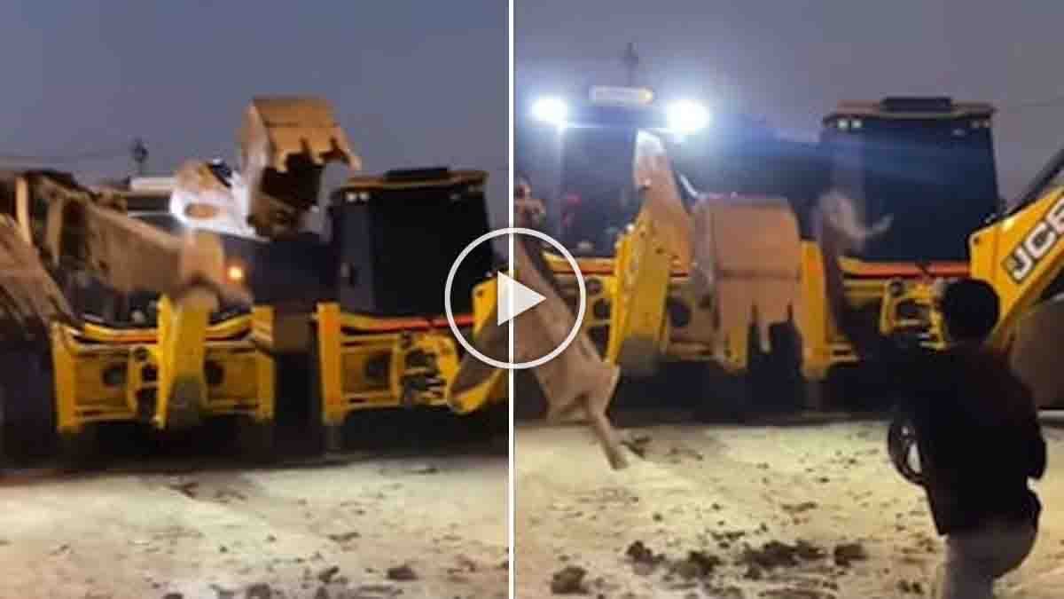 JCB machine performing Nagin Dance as the driver skillfully moves the bucket to match the music in a viral Instagram video.