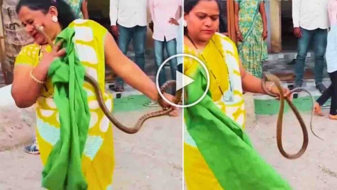 Brave woman attempting to catch a large snake gets bitten on the cheek in a shocking viral moment - Viral Video