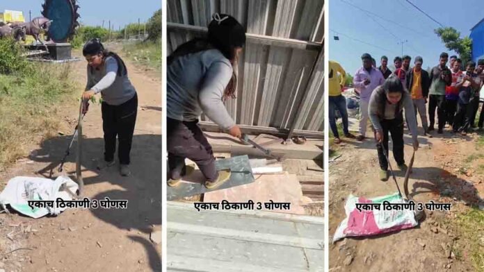 Viral video moment of Shivani capturing three snakes safely and releasing them into the forest.