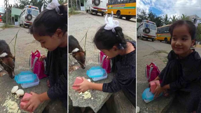 A touching viral video of a little schoolgirl feeding her lunch to a hungry street dog is restoring faith in humanity.