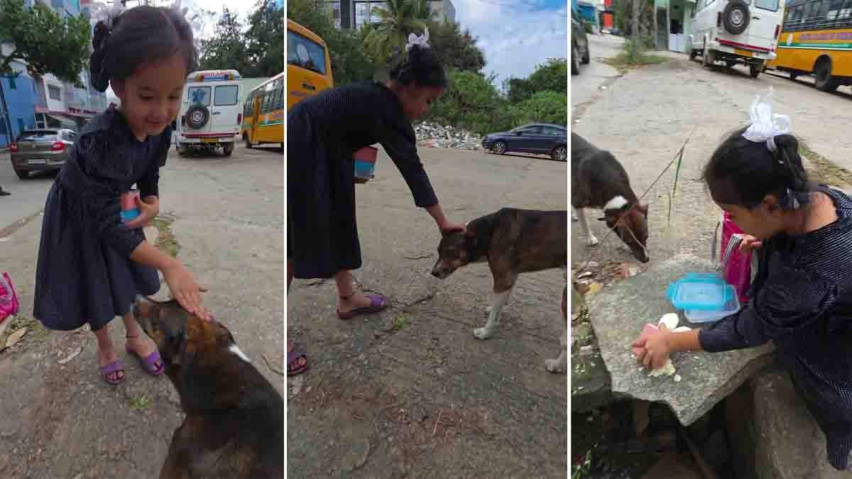 A touching viral video of a little schoolgirl feeding her lunch to a hungry street dog is restoring faith in humanity.