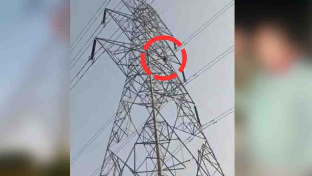 Love drama in Shahdol as a 19-year-old boy climbs a 33KV high-tension tower after girlfriend refuses marriage