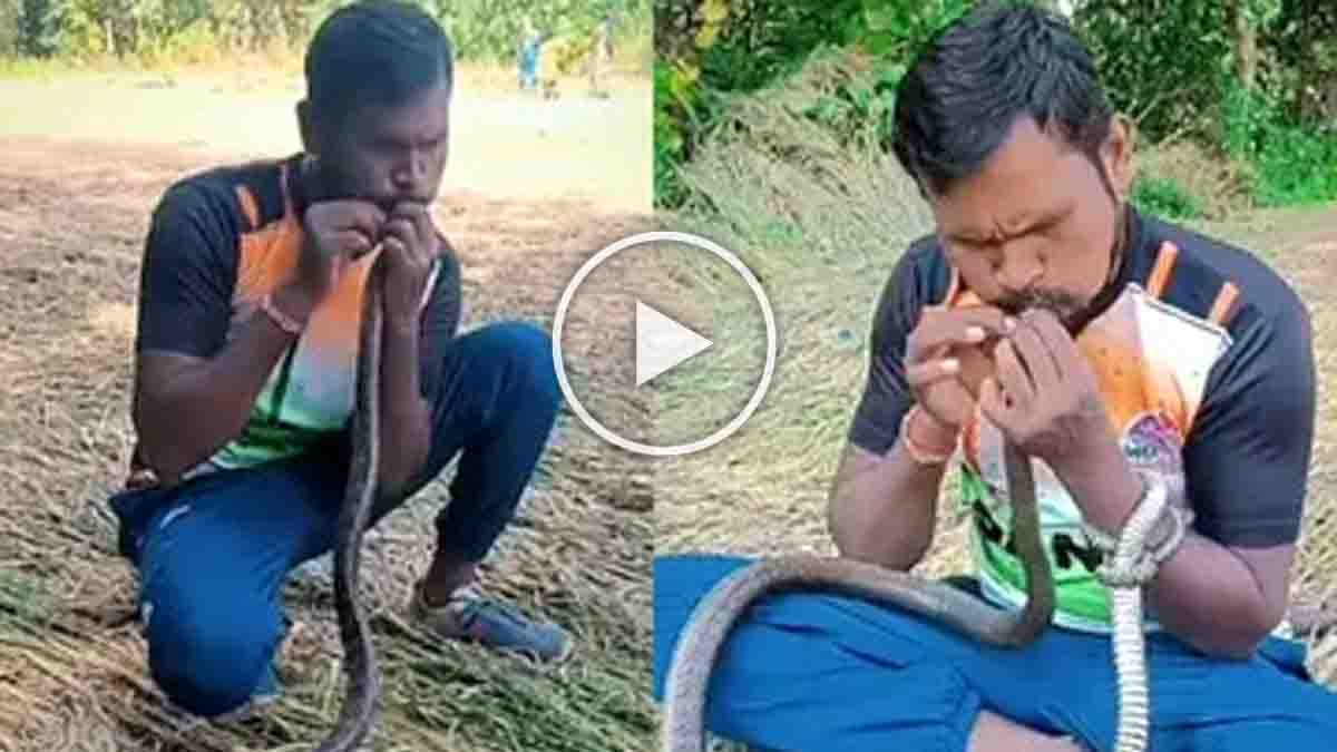 Wildlife rescuer Mukesh Vayad giving CPR to an unconscious Indian Rat Snake after electric shock in Gujarat - Video