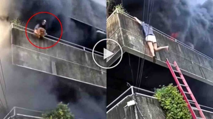 A brave woman in Mandaue City, Philippines risked her life to save her two dogs during a massive house fire. The dramatic rescue video has gone viral