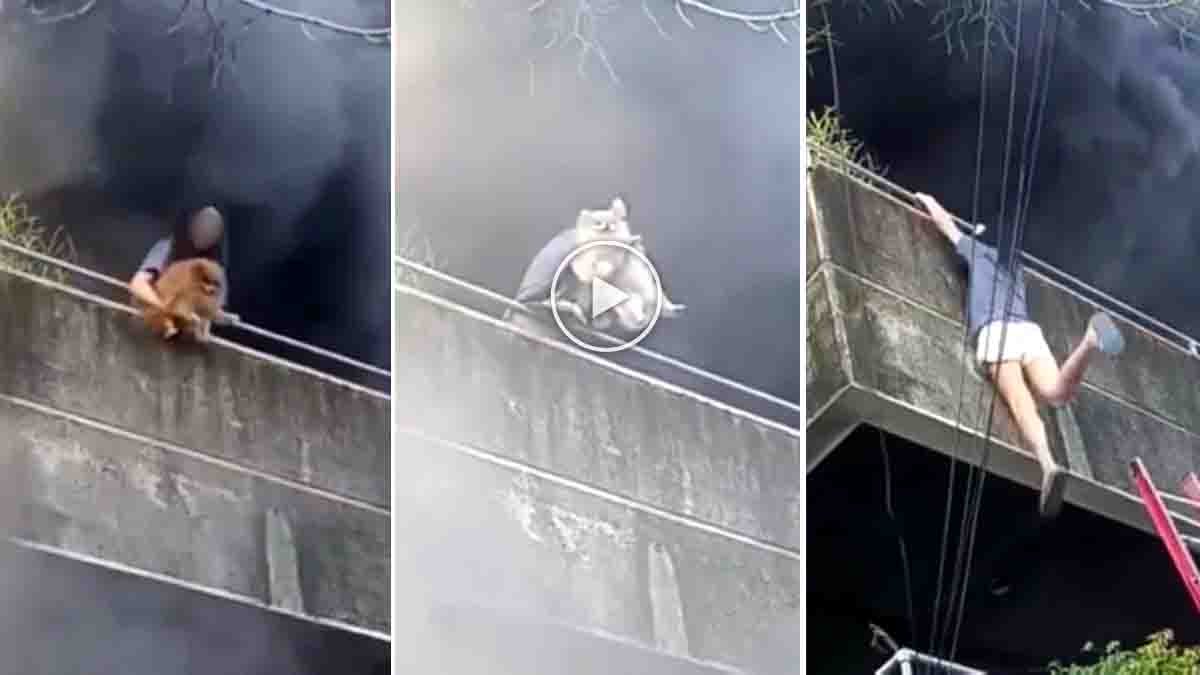 A brave woman in Mandaue City, Philippines risked her life to save her two dogs during a massive house fire. The dramatic rescue video has gone viral