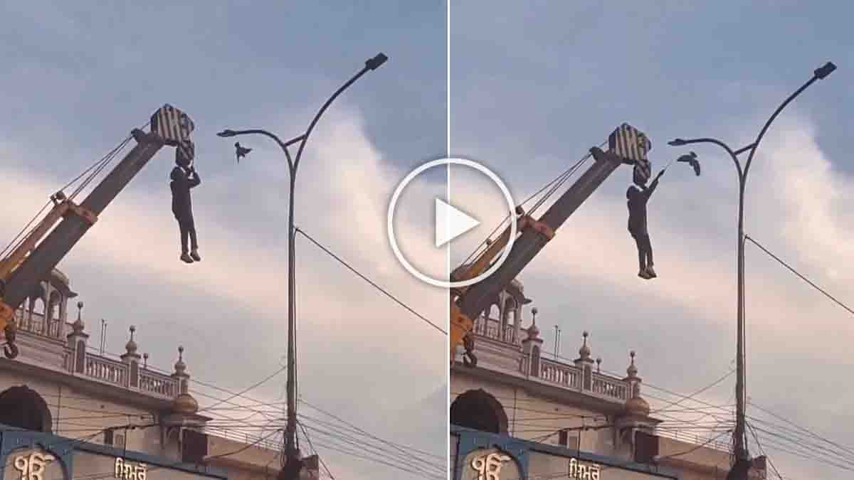 Punjab hero hanging from a crane to rescue a bird trapped in high-voltage electric wires near a gurdwara