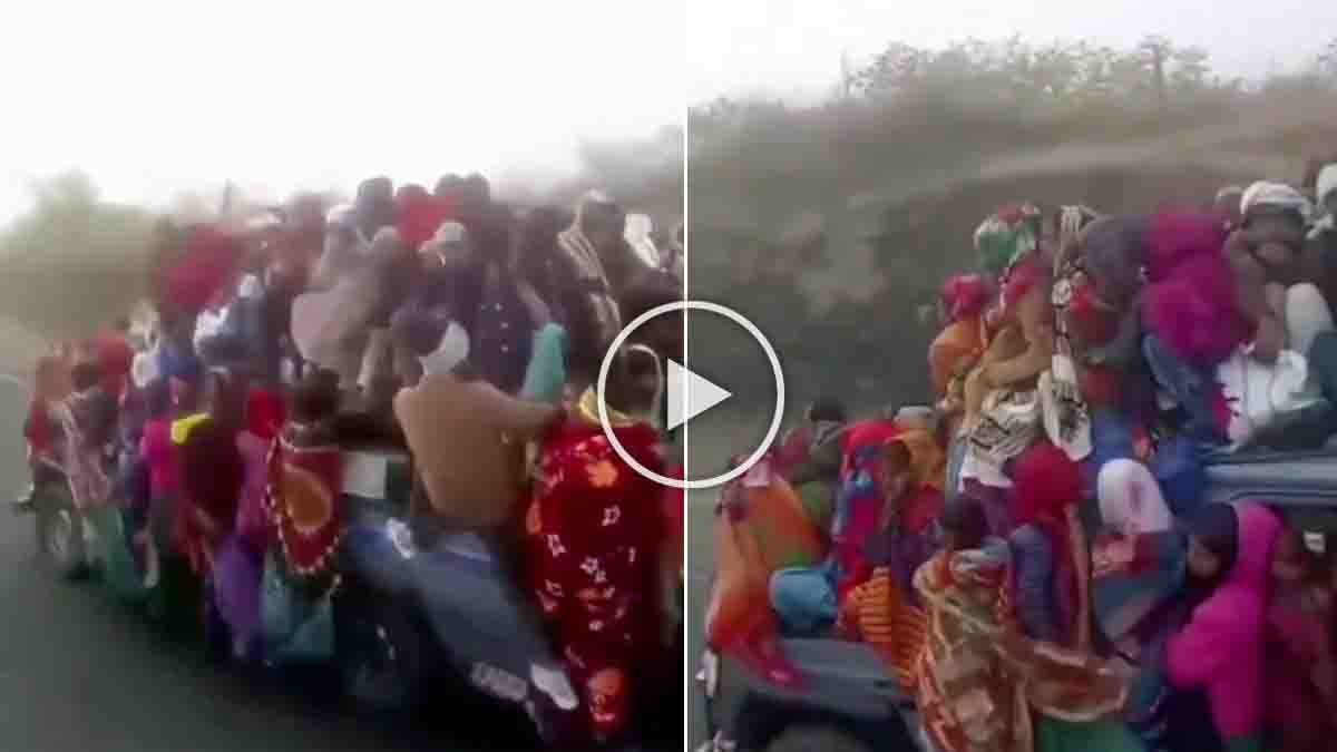 Rajasthan viral video showing a shocking and dangerous incident that has sparked massive reactions on social media