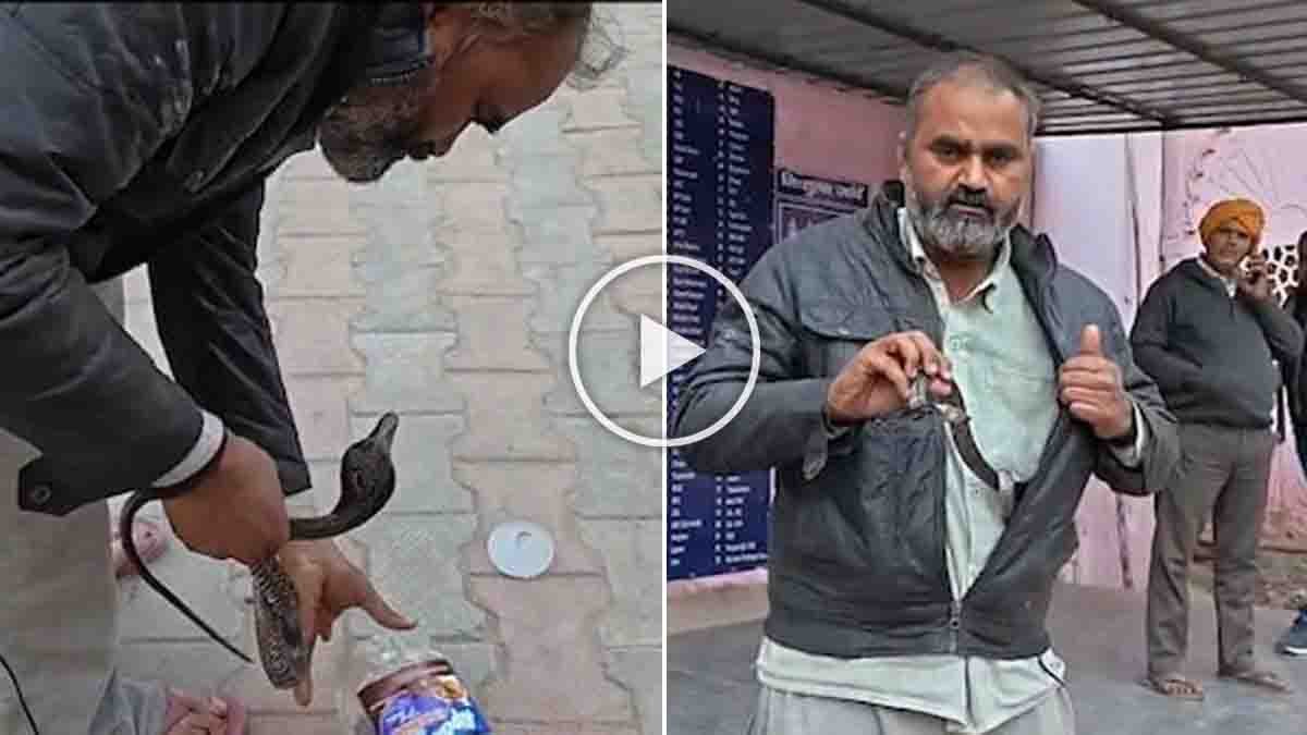 Snake bite video goes viral as an auto driver brings the snake that bit him in his pocket to a Mathura hospital, shocking doctors and patients.