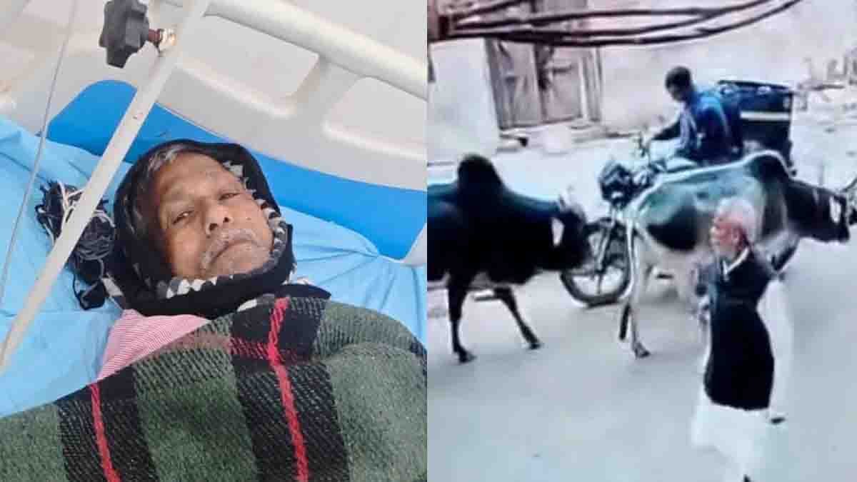 Bull Attack in Chhatarpur : ಛತ್ತರ್ ಪುರದಲ್ಲಿ ವೃದ್ಧನ ಮೇಲೆ ಗೂಳಿ ಅಟ್ಟಹಾಸ: ಸಿಸಿಟಿವಿಯಲ್ಲಿ ಸೆರೆಯಾಯ್ತು ಭೀಕರ ದೃಶ್ಯ! 1 Bull attack on elderly man captured on CCTV in Chhatarpur, Madhya Pradesh