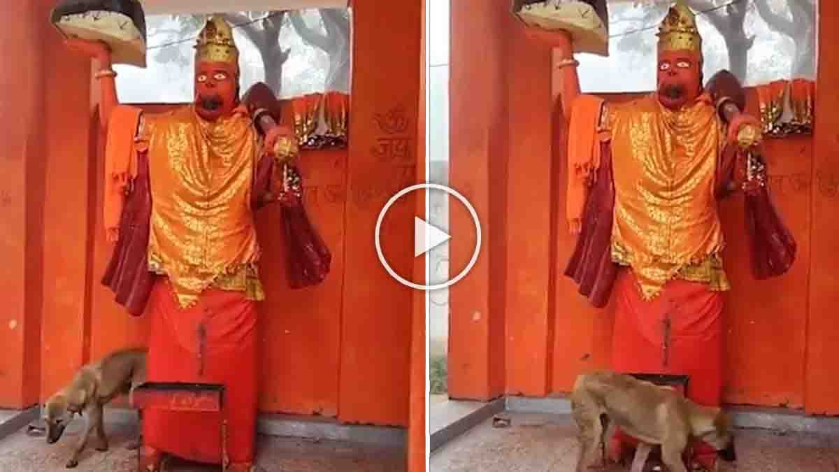 A dog’s extraordinary devotion at a Hanuman temple in Bijnor, Uttar Pradesh, where it circled the idol continuously for 48 hours - Video
