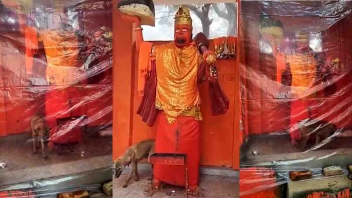 A dog’s extraordinary devotion at a Hanuman temple in Bijnor, Uttar Pradesh, where it circled the idol continuously for 48 hours - Video