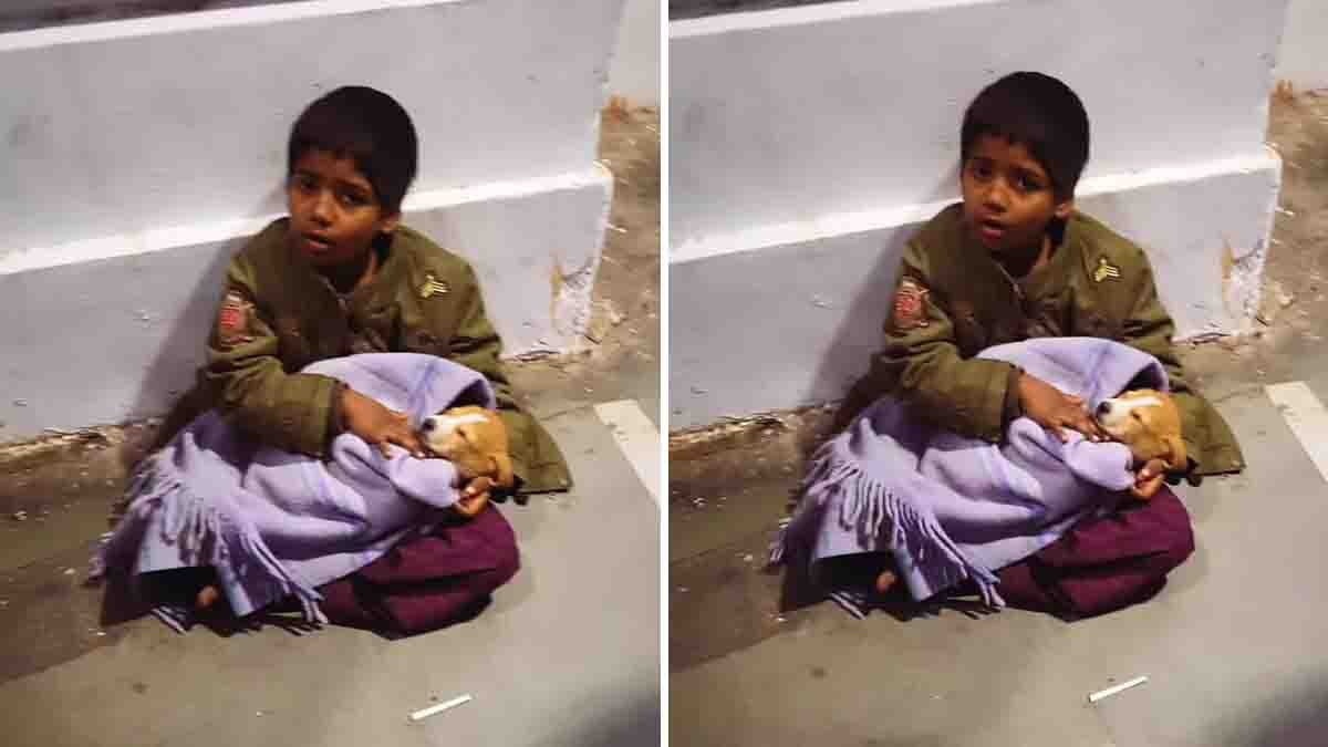 Innocent love : ಮಡಿಲಲ್ಲಿ ನಾಯಿಮರಿಯನ್ನು ಮಲಗಿಸಿ ಮುದ್ದಿಸಿದ ಪುಟ್ಟ ಬಾಲಕ; ಮುಗ್ಧ ಪ್ರೀತಿಗೆ ಫಿದಾ ಆದ ನೆಟ್ಟಿಗರು! 2 Innocent love shines as a little boy cuddles a puppy, showcasing pure compassion and a heartwarming viral moment.