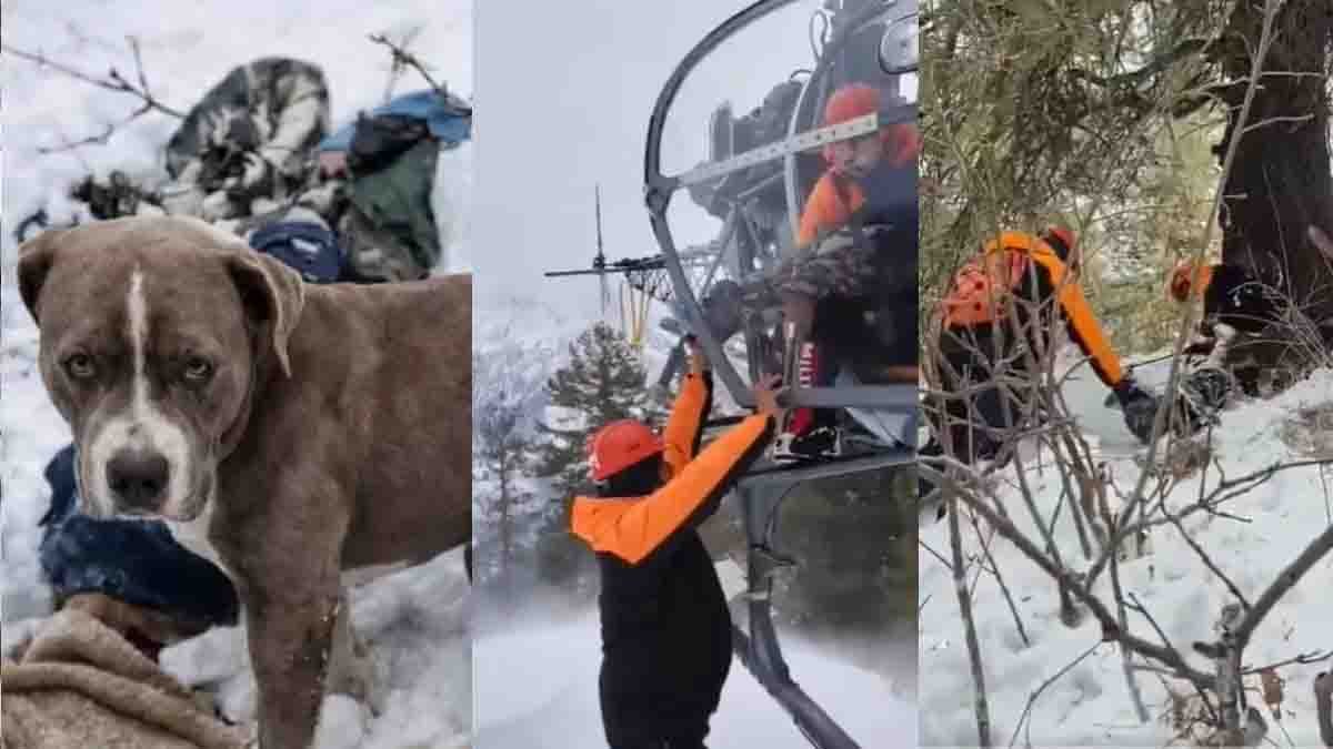 Loyal dog standing guard beside owner’s body during heavy snowfall in Himachal Pradesh