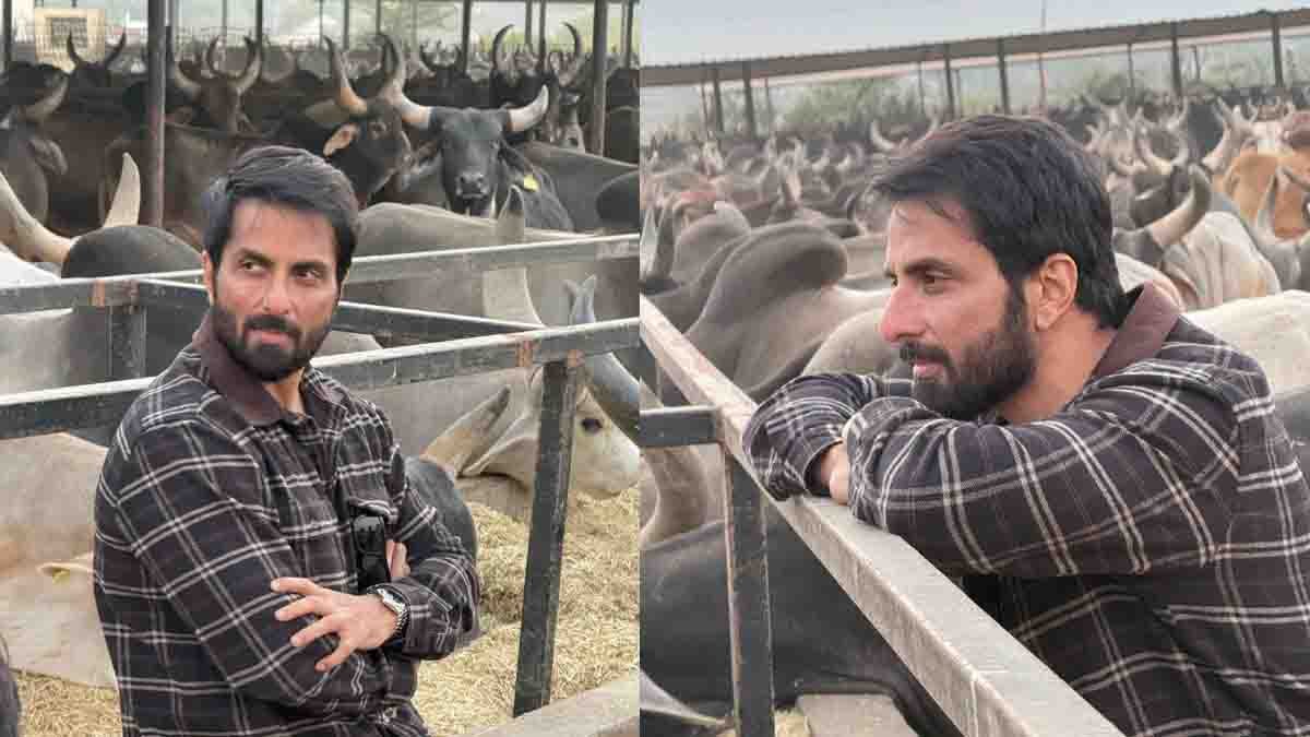 Actor Sonu Sood supporting cow welfare by donating ₹22 lakh to Varahi Goshala in Gujarat