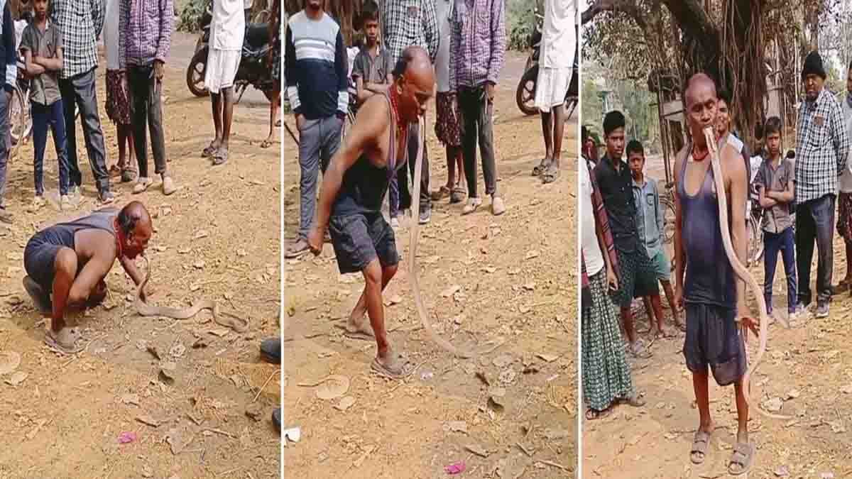 Viral snake video from Odisha where a man performs a dangerous stunt by holding a king cobra in his mouth, raising safety concerns.
