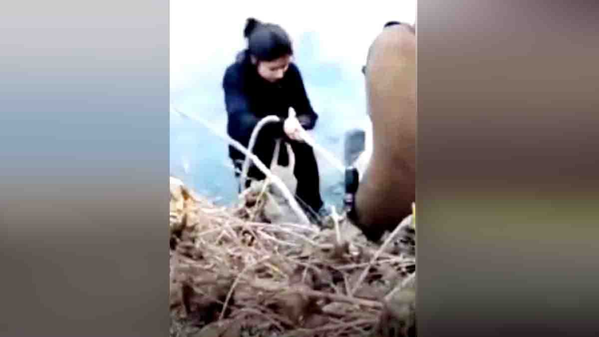 Delhi woman falls into open drain while filming Instagram Reel rescued by Delhi Police in Najafgarh