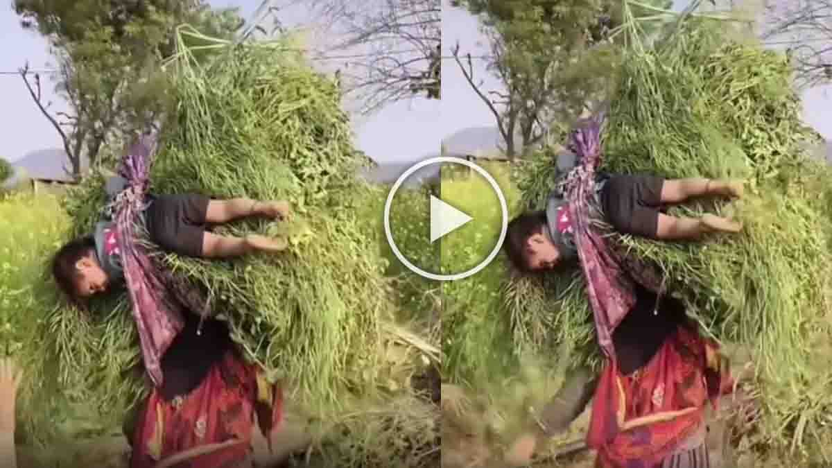 Rural Indian mother carrying her child while balancing a heavy grass bundle in a village