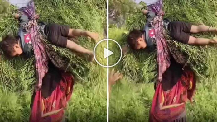 Rural Indian mother carrying her child while balancing a heavy grass bundle in a village