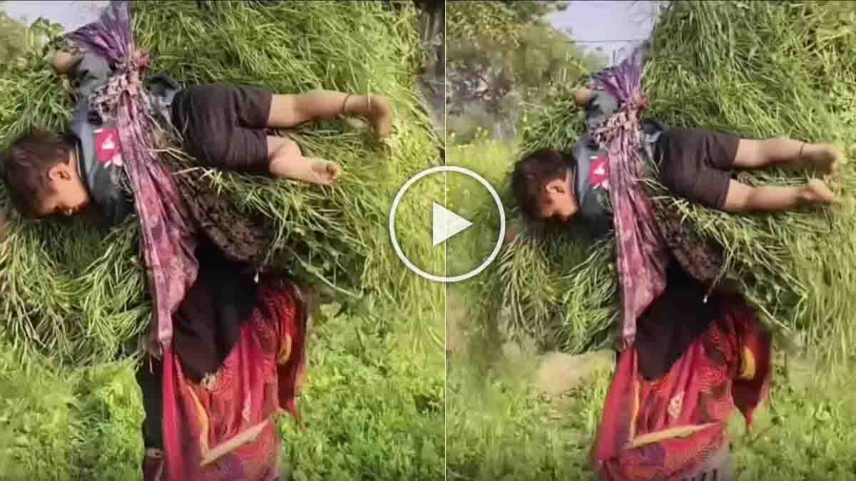 Rural Indian mother carrying her child while balancing a heavy grass bundle in a village