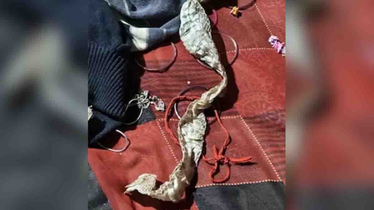 Snake Transformation Drama in Uttar Pradesh where a girl used snake skin to fake her disappearance and mislead police.
