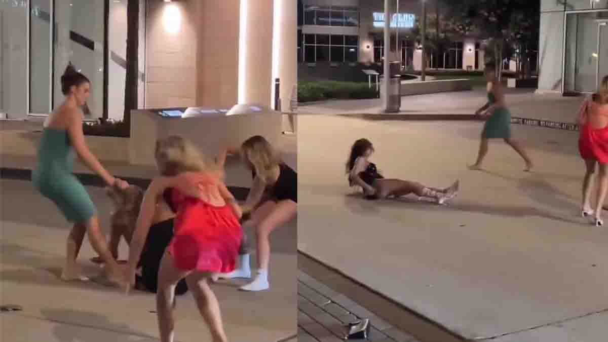 Viral Street Fight : ರಸ್ತೆಯಲ್ಲೇ ಬಿತ್ತು ಜುಟ್ಟು ಹಿಡಿದು ಏಟು! ಇದು ಹುಡುಗಿಯರ ಜಗಳವೋ ಅಥವಾ WWE ಫೈಟೋ? ವಿಡಿಯೋ ಫುಲ್ ವೈರಲ್! 2 Viral street fight showing a group of young women physically fighting in the middle of a public road