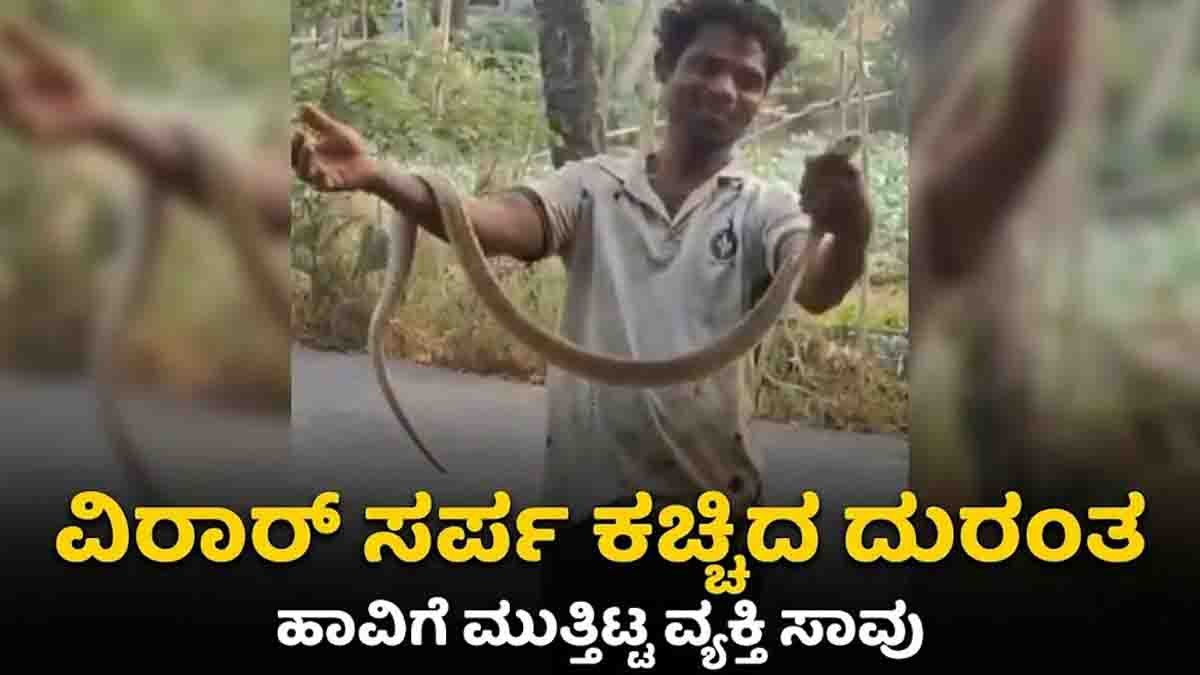 Virar Snake Bite : ಮದ್ಯದ ಅಮಲಿನಲ್ಲಿ ನಾಗರಹಾವಿಗೆ ಮುತ್ತಿಡಲು ಹೋಗಿ ಪ್ರಾಣ ಕಳೆದುಕೊಂಡ ವ್ಯಕ್ತಿ! ವೈರಲ್ ಆಯ್ತು ವಿಡಿಯೋ 1 Virar snake bite incident where intoxicated man was bitten by a venomous cobra in Maharashtra