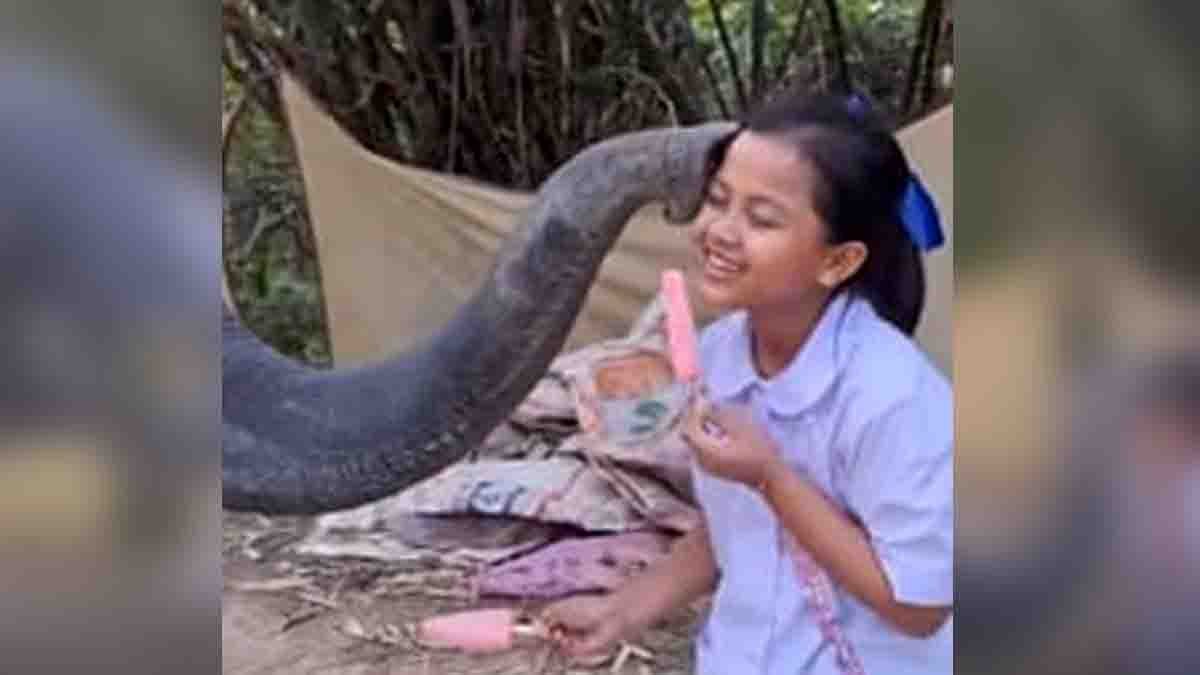 The Elephant Ice Cream Viral Video shows a touching moment where a little girl feeds ice cream to a gentle elephant.