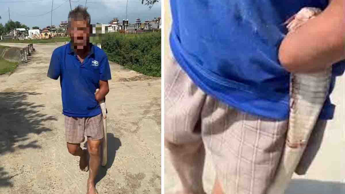 Vietnam snake bite video showing 79-year-old man holding cobra after being bitten